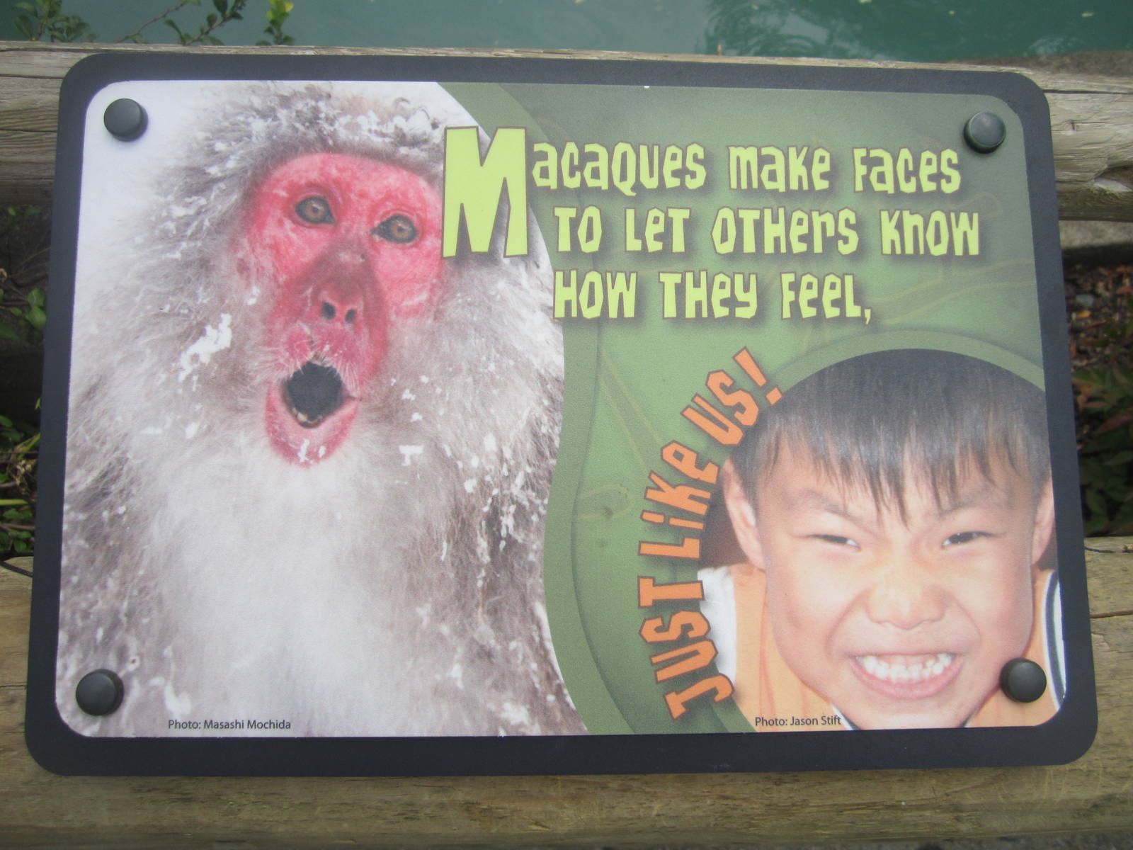 Jul. 2012-Macaque sign