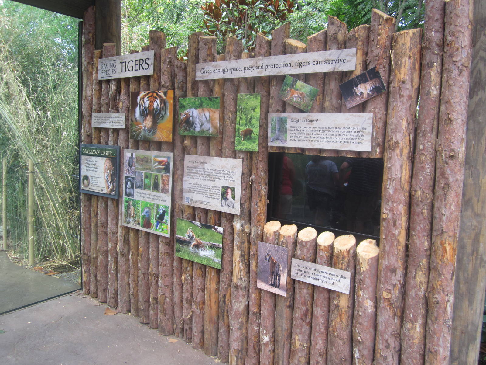 Jul. 2012-Malayan Tiger Conservation Sign