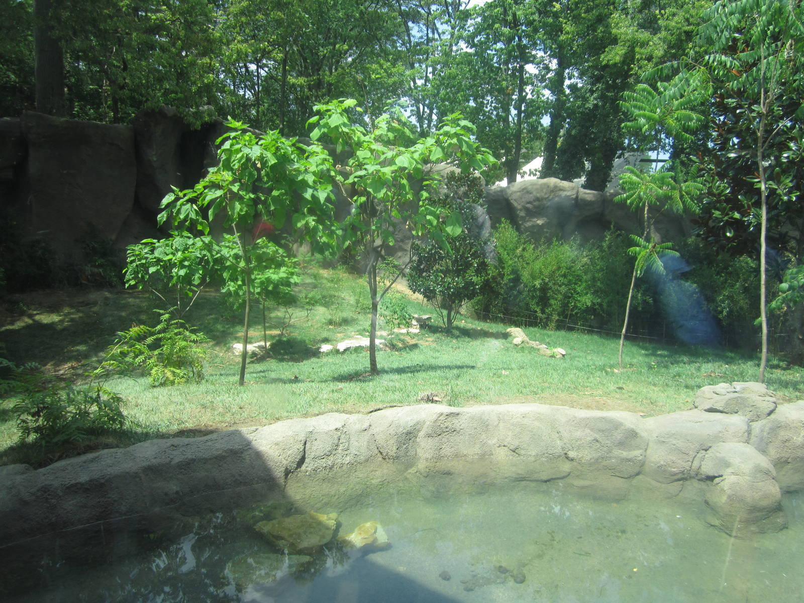 Jul. 2012-Malayan Tiger exhibit