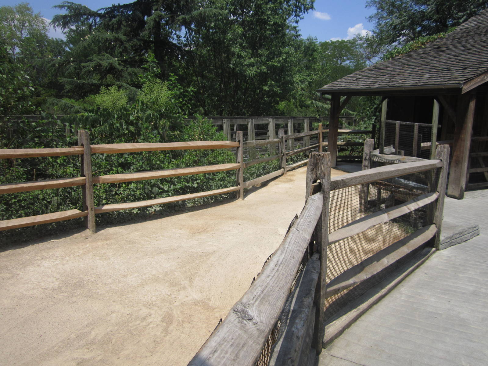 Jul. 2012-Miniature Cattle exhibit