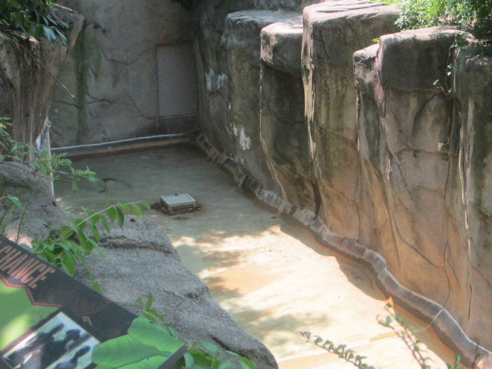 Jul. 2012-Moat in the Western Lowland Gorilla exhibit