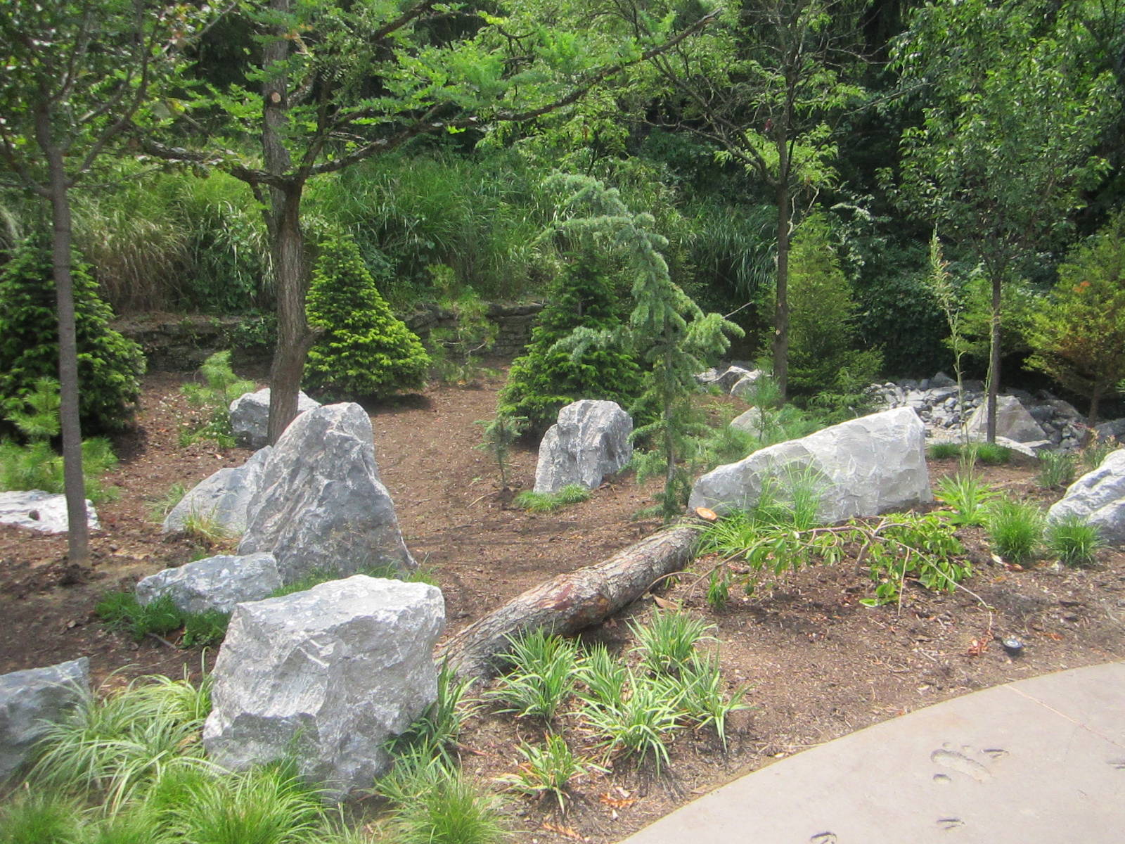 Jul. 2012-Montane Garden