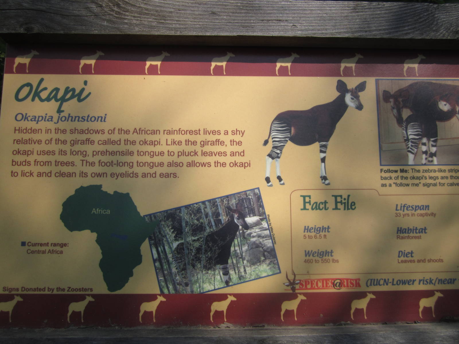 Jul. 2012-Okapi sign