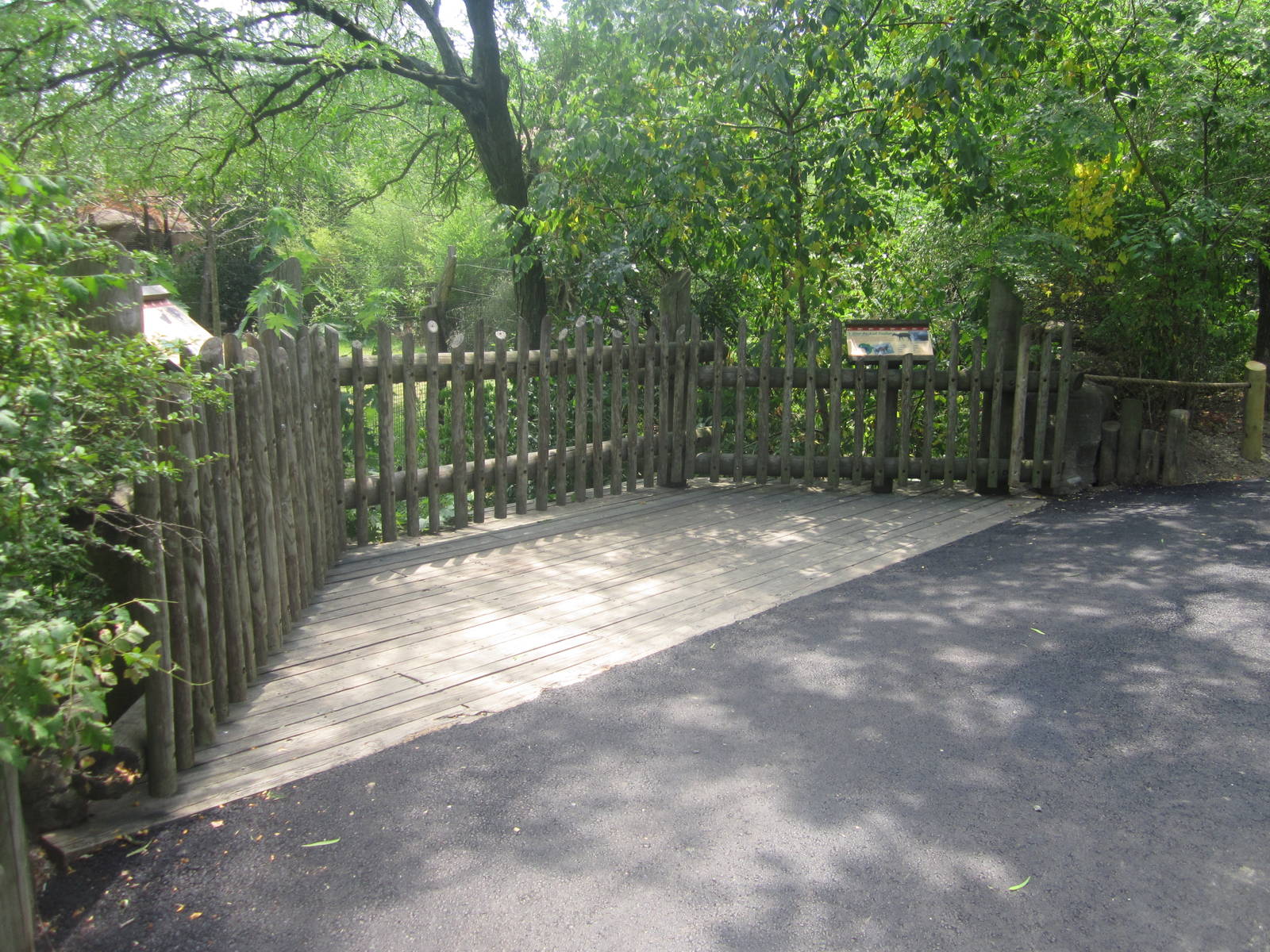 Jul. 2012-Okapi/Yellow-backed Duiker exhibit viewing