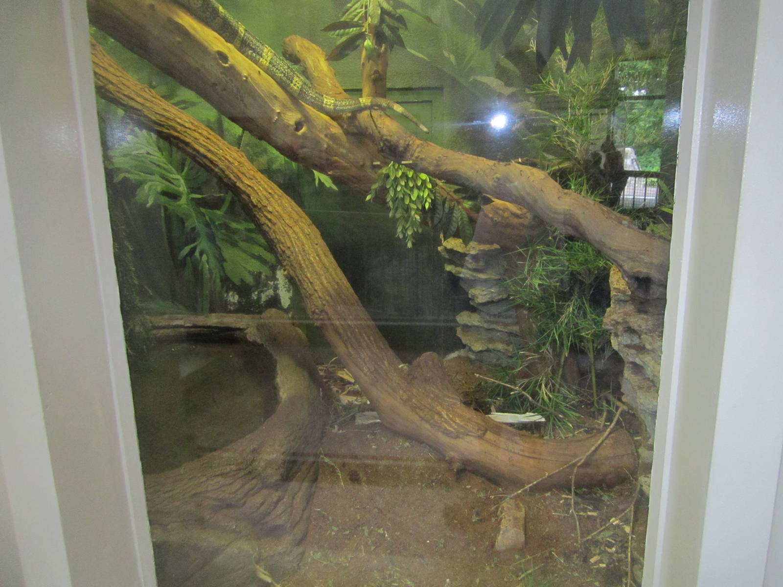 Jul. 2012-Ornate Monitor exhibit