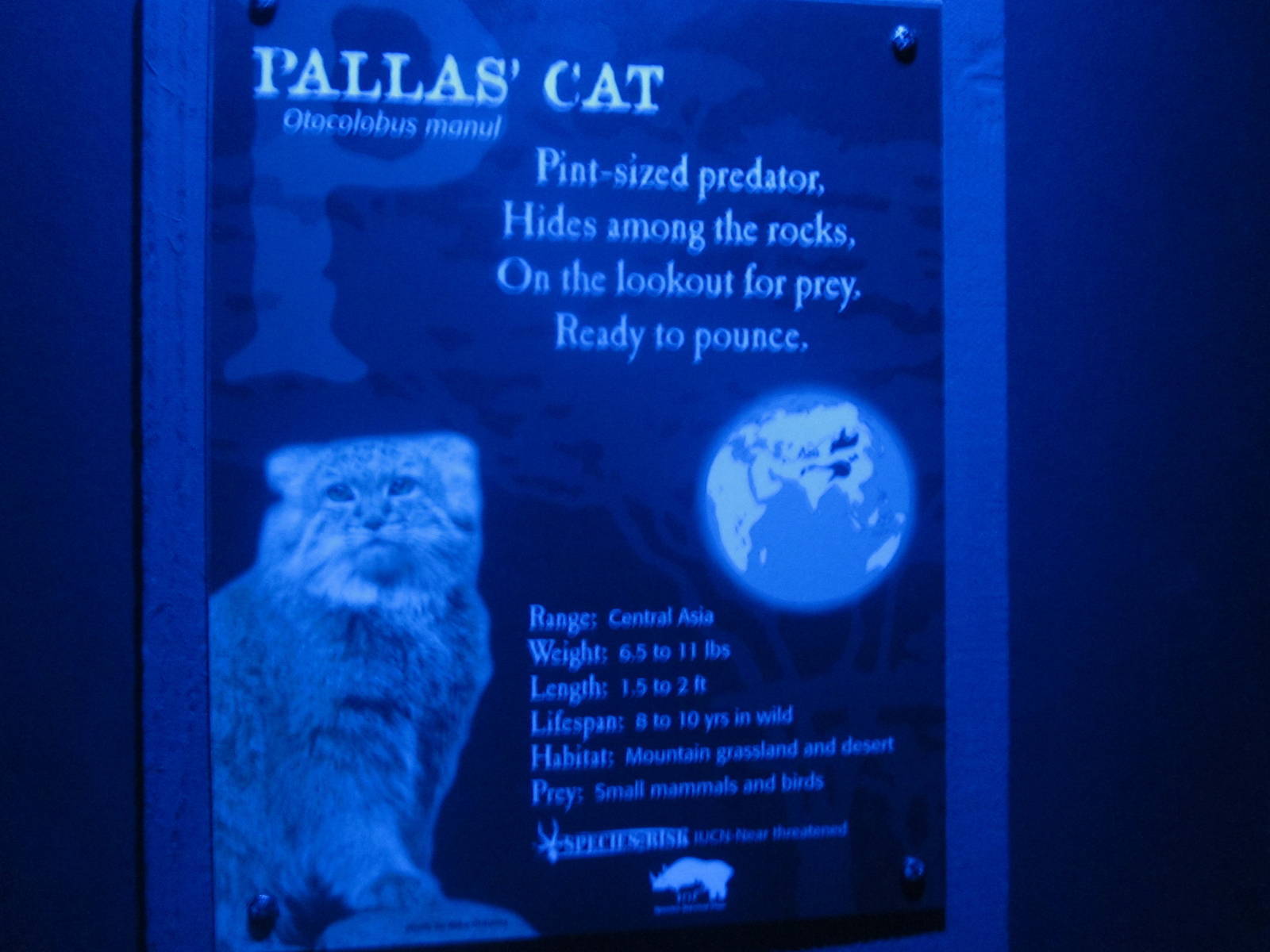 Jul. 2012-Pallas' Cat sign