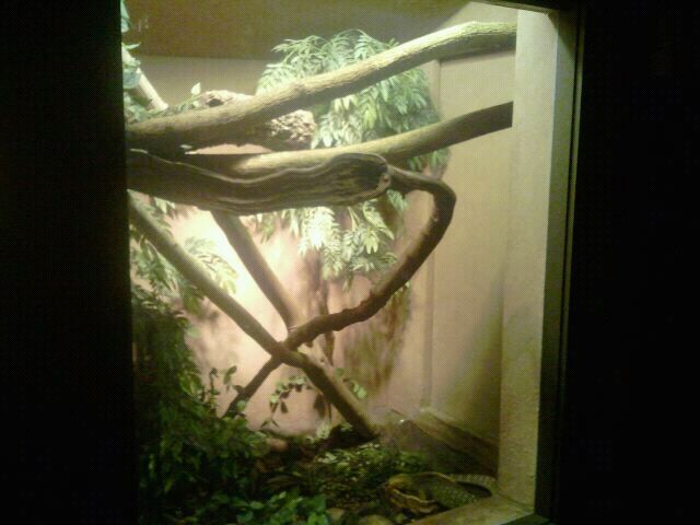 Jul. 2012-Quince Monitor exhibit