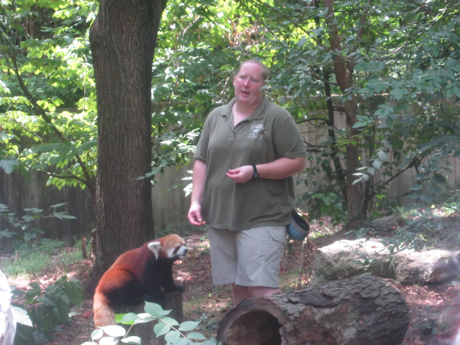 Jul. 2012-Red Panda Encounter