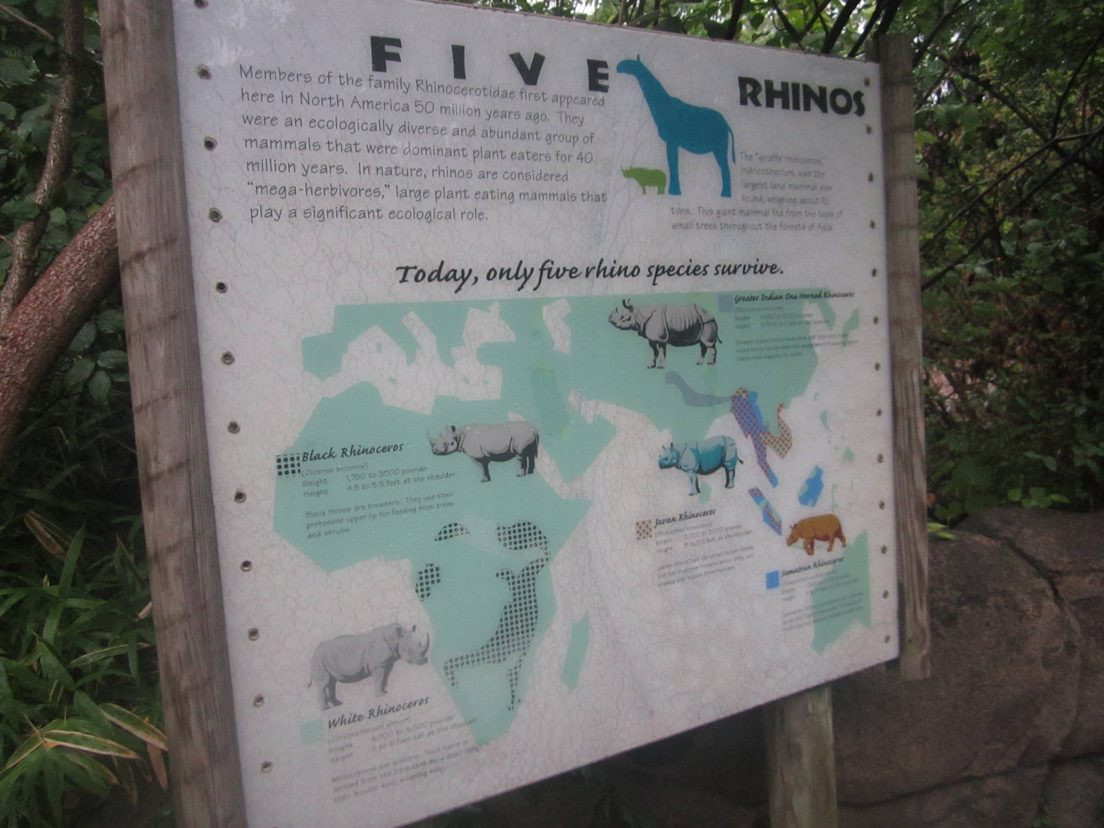 Jul. 2012-Rhino Reserve Rhinoceros sign