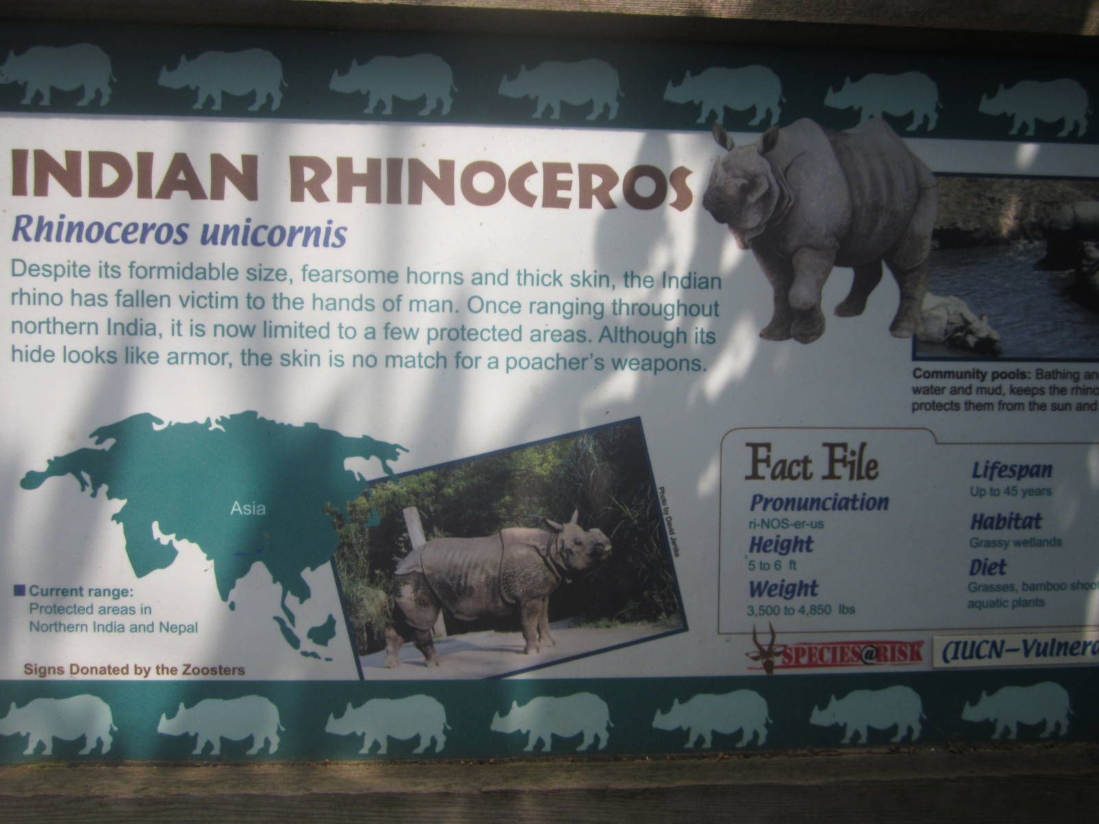 Jul. 2012-Rhino sign