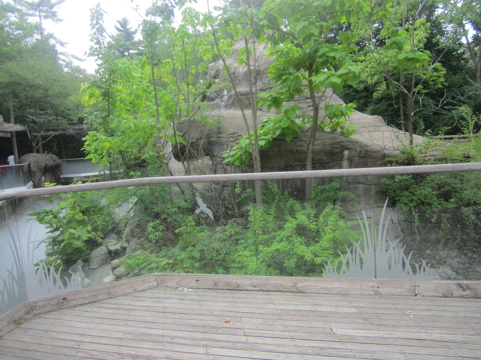 Jul. 2012-Right side of Lemur Lookout