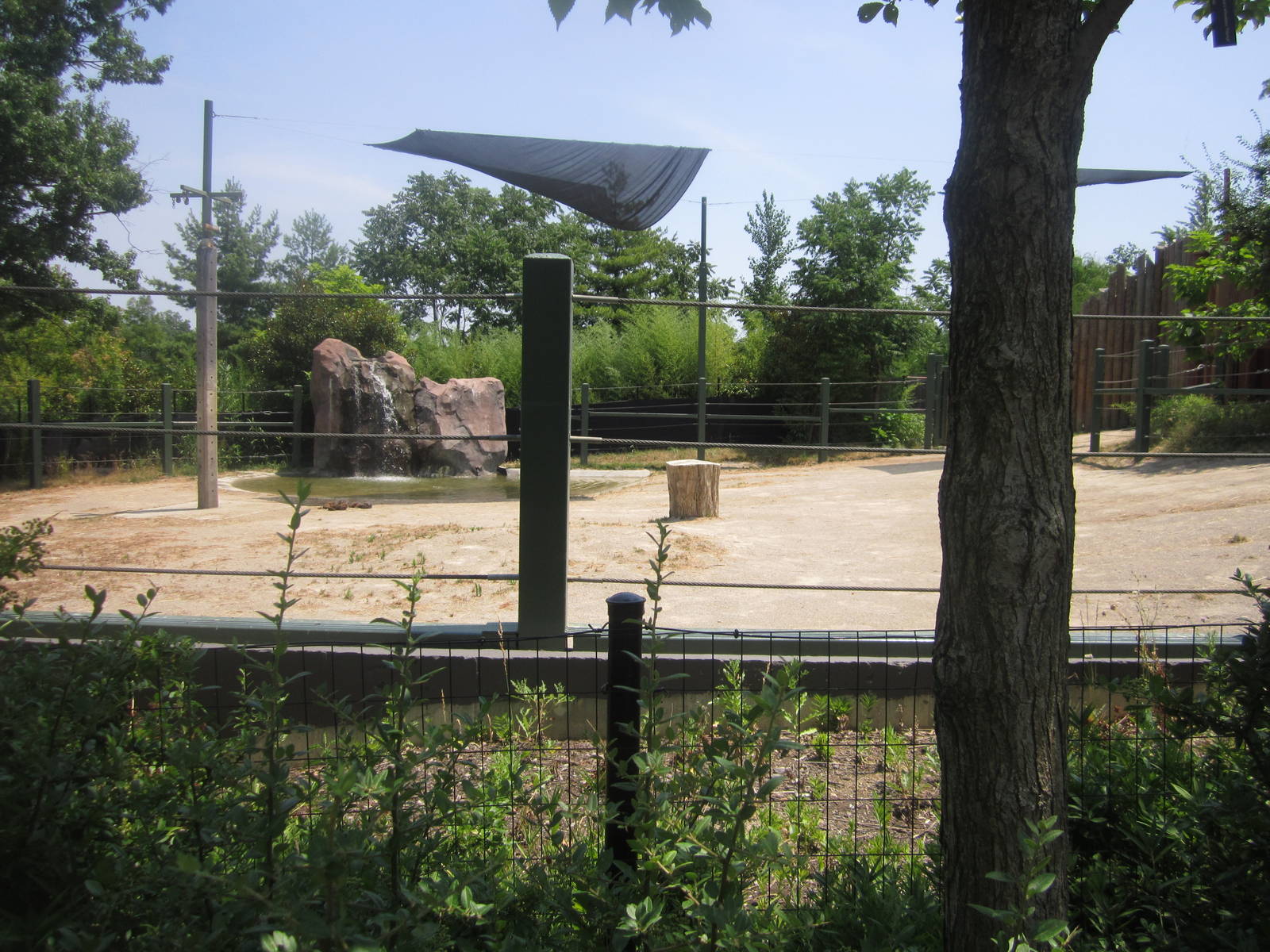 Jul. 2012-Sabu's yard