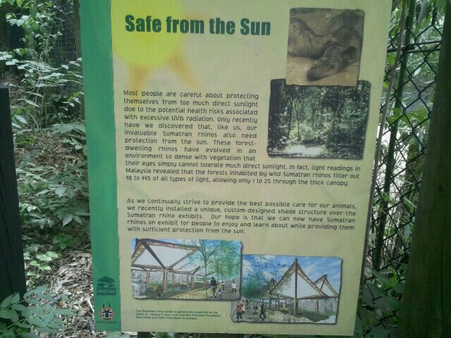 Jul. 2012-Safe From the Sun sign (Sumatran Rhino)