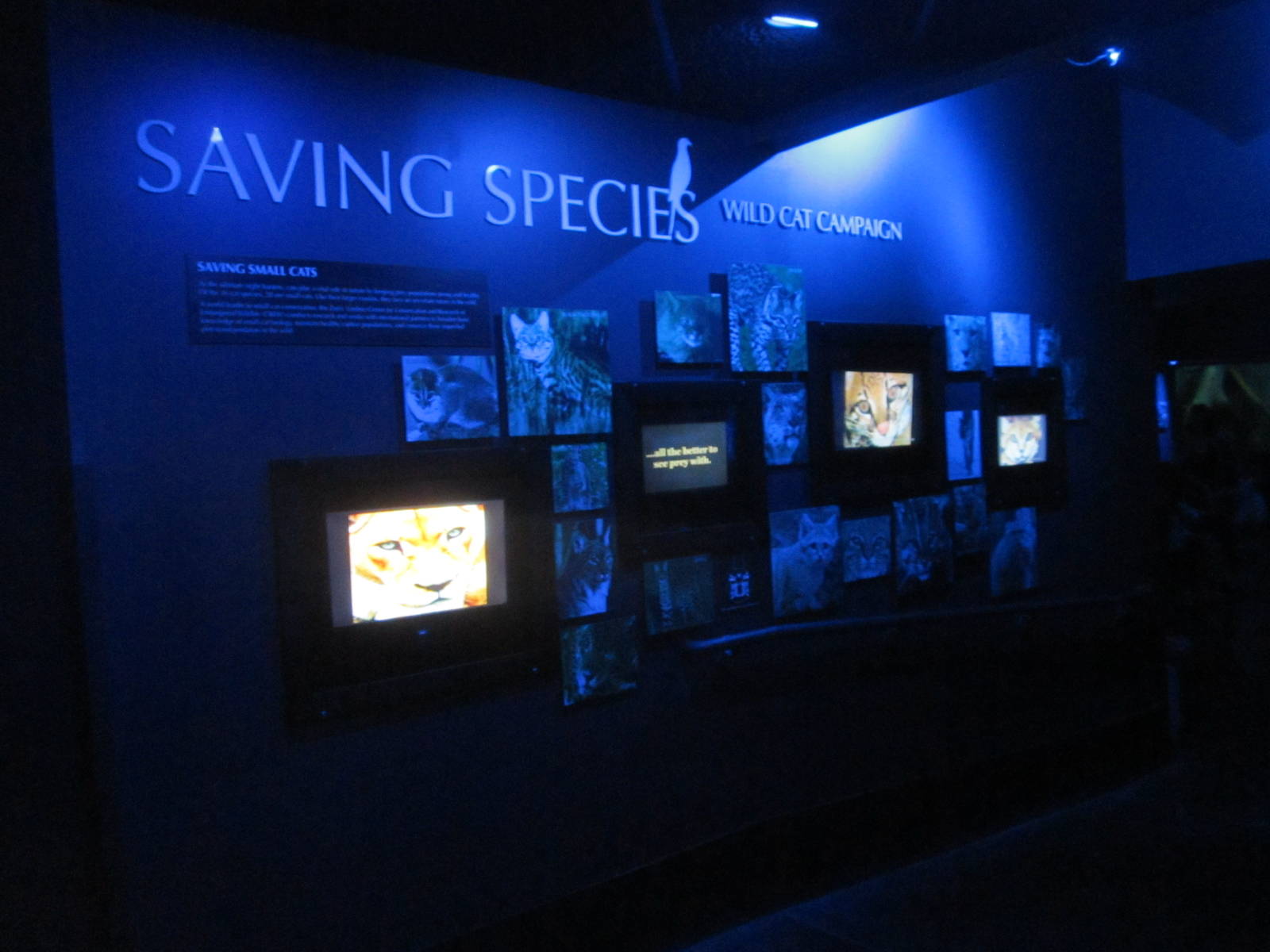 Jul. 2012-Saving Species area
