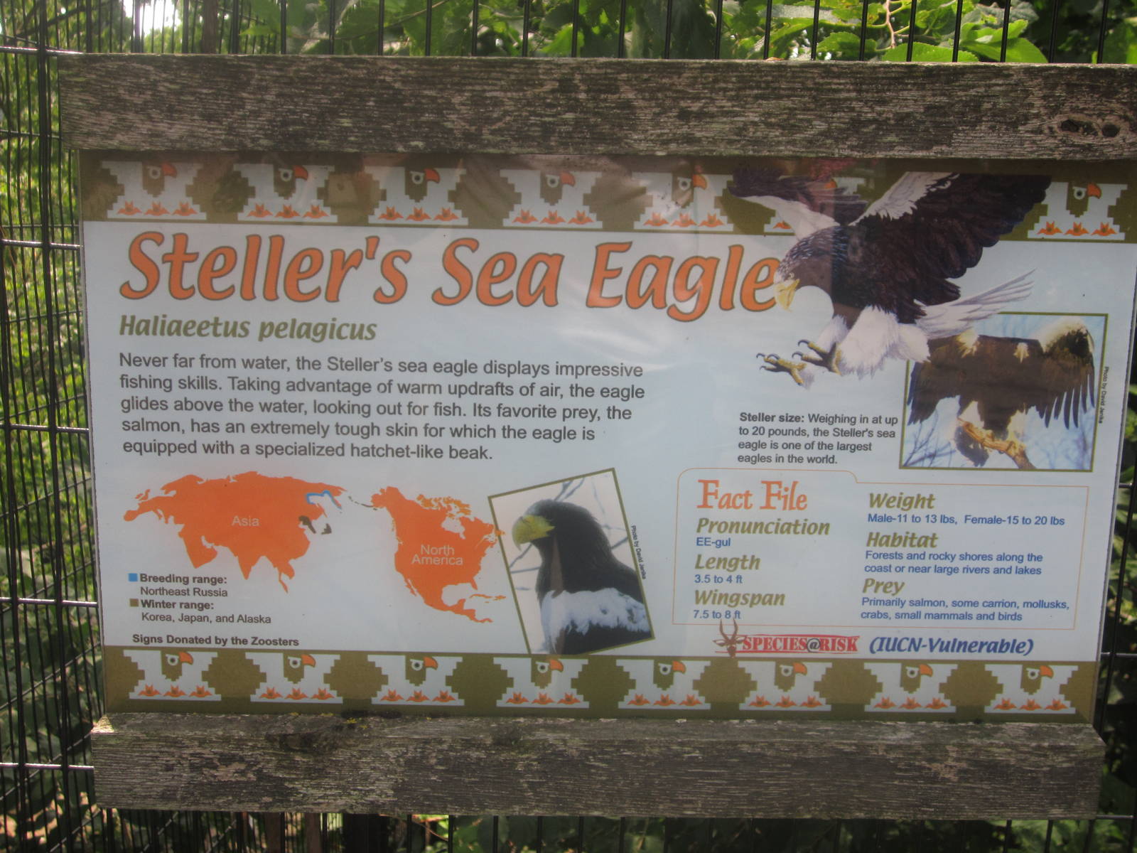 Jul. 2012-Sea Eagle sign