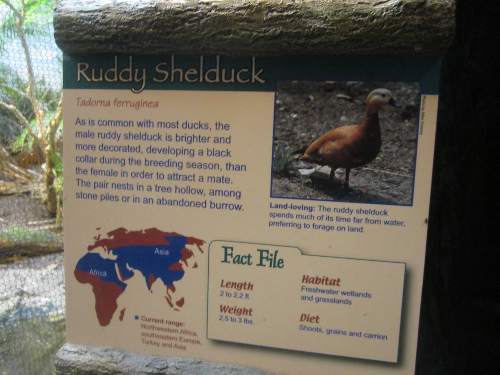 Jul. 2012-Shelduck sign