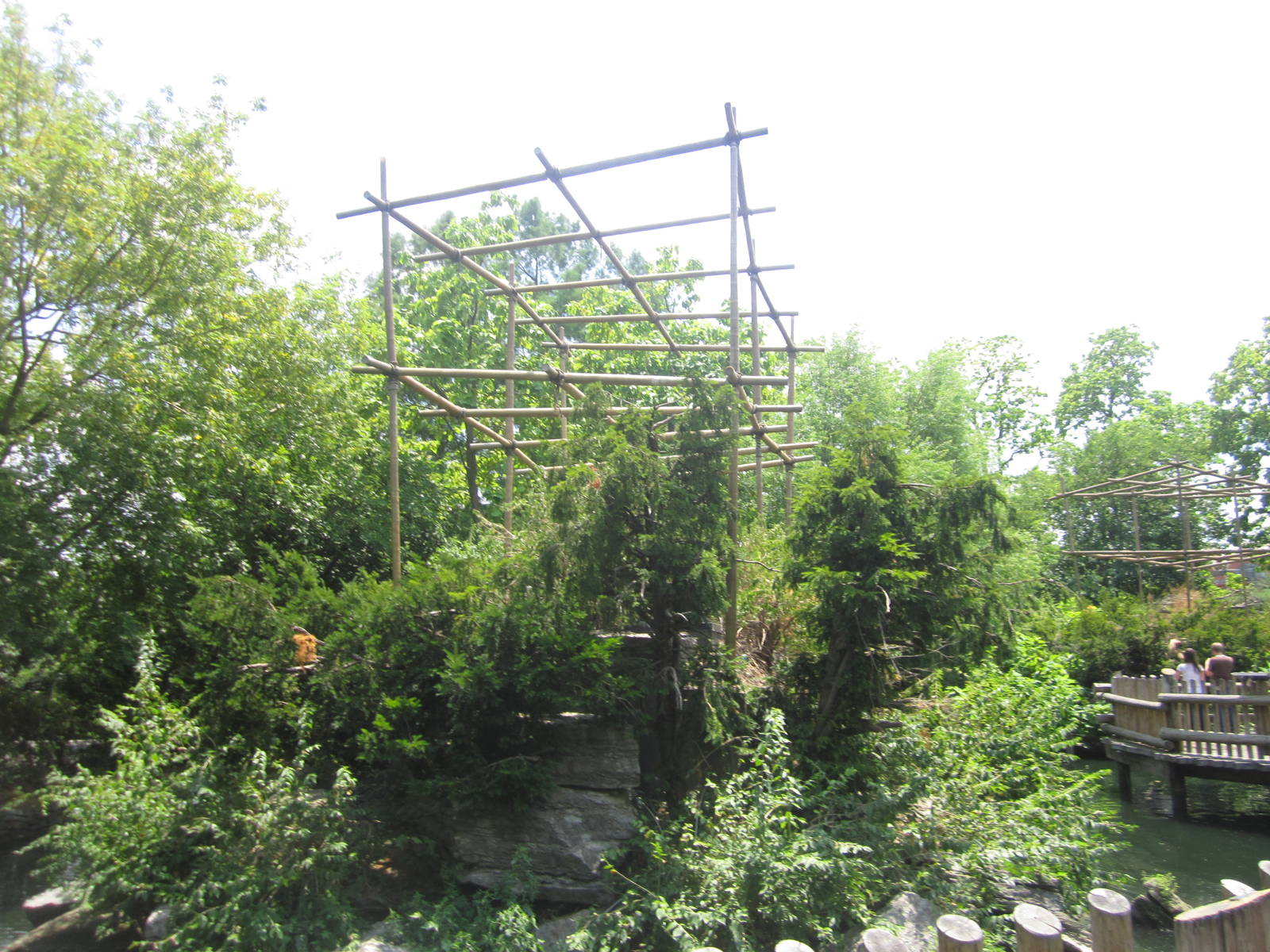 Jul. 2012-Siamang exhibit