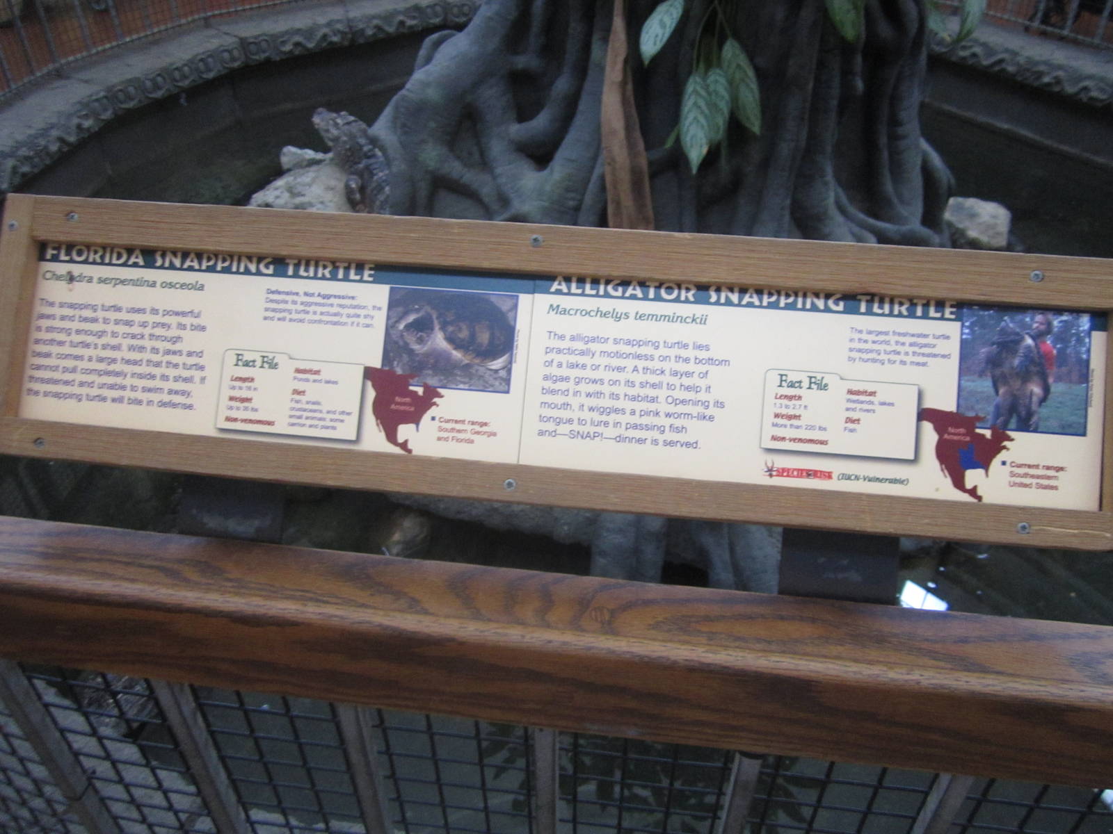 Jul. 2012-Snapping turtle signs