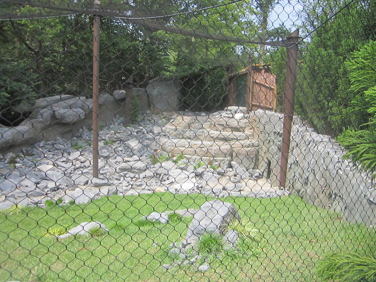 Jul. 2012-Snow Leopard exhibit