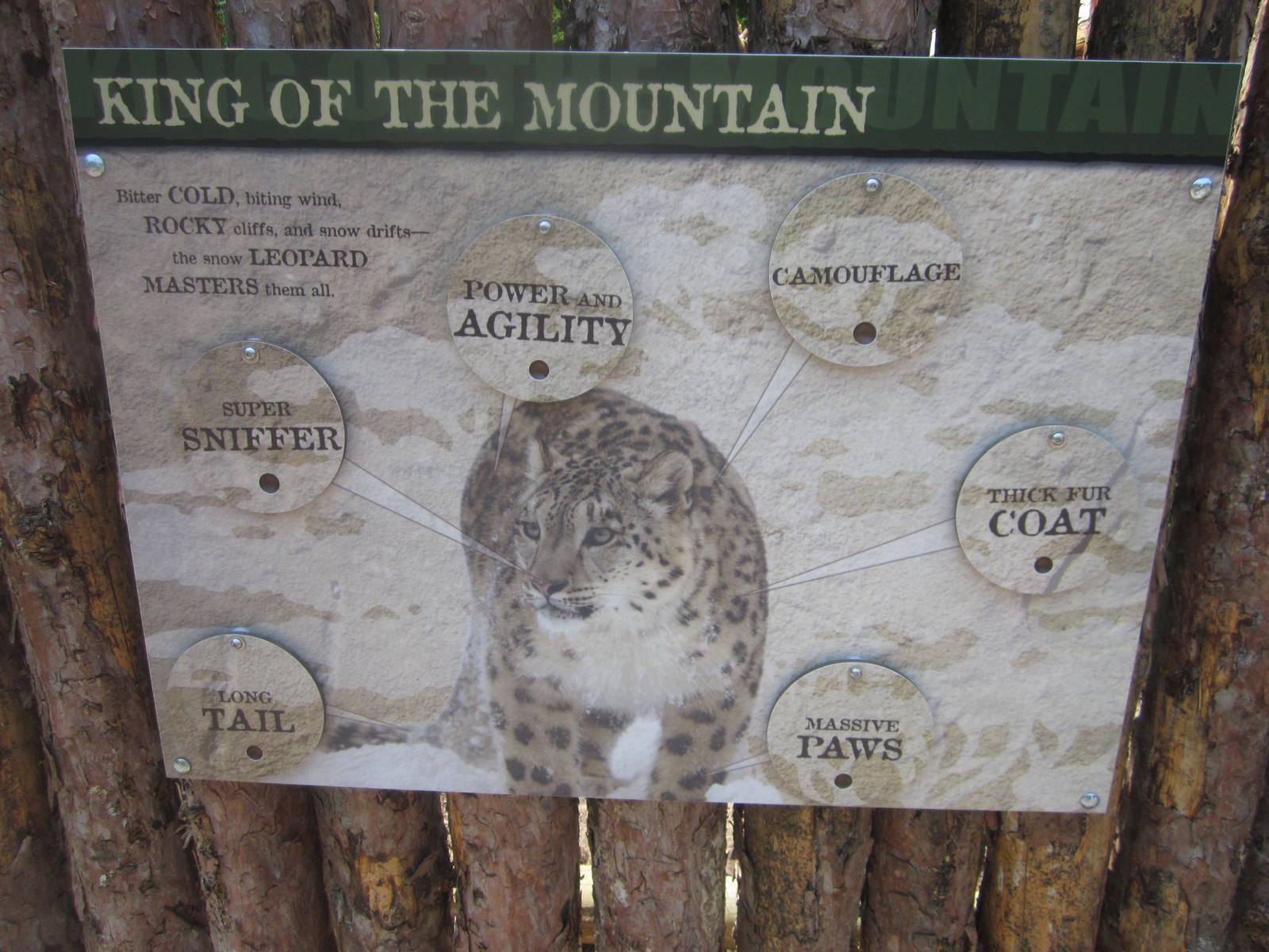 Jul. 2012-Snow Leopard Interactive Sign