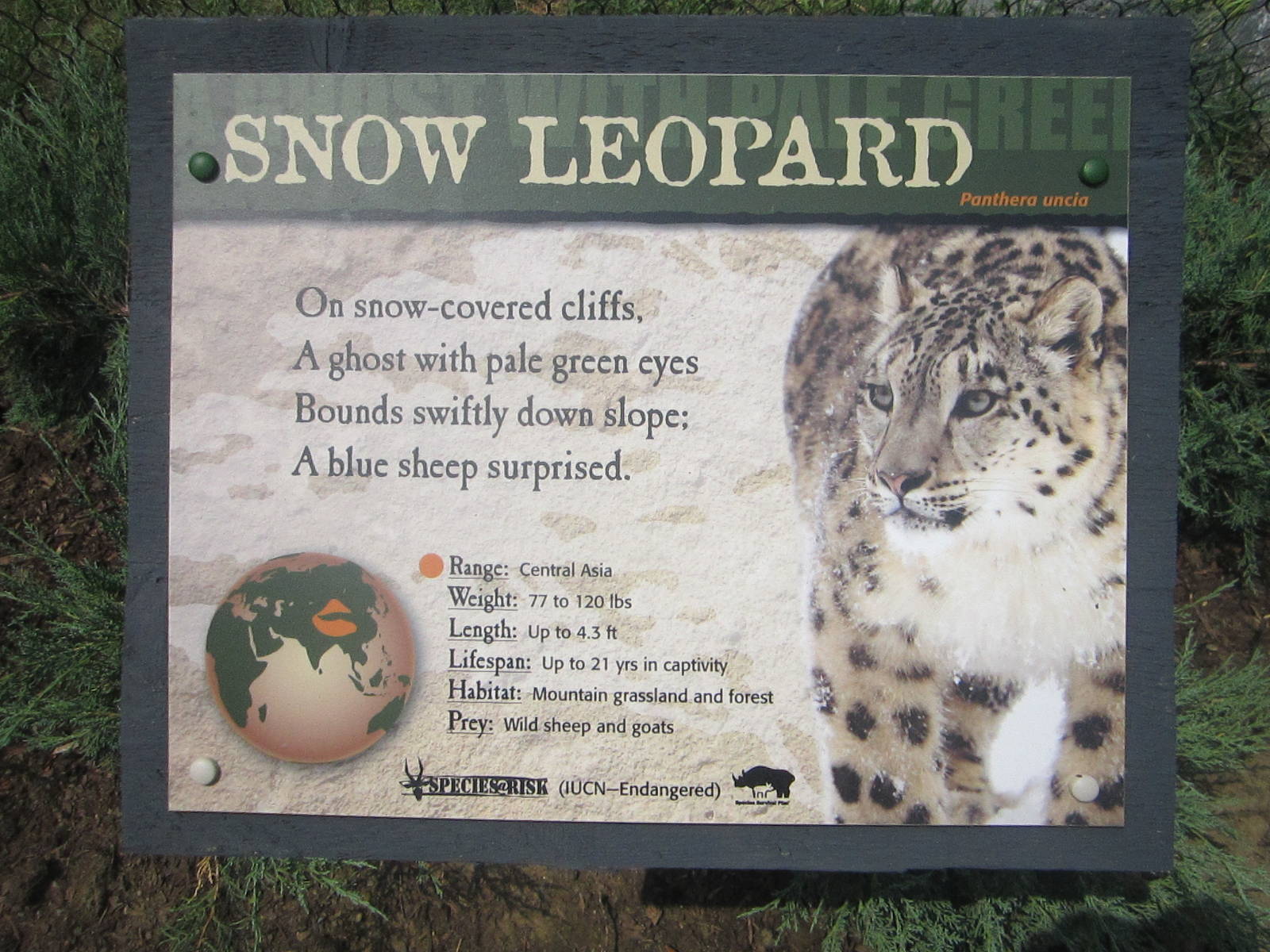 Jul. 2012-Snow Leopard sign
