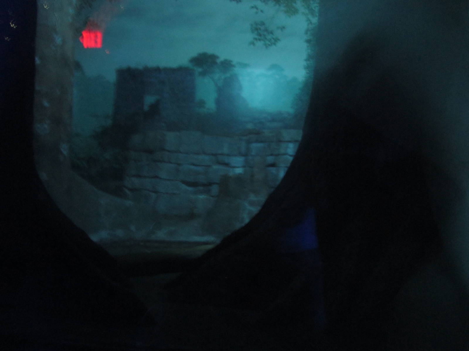 Jul. 2012-Southern Brazilian Ocelot exhibit (middle viewing)