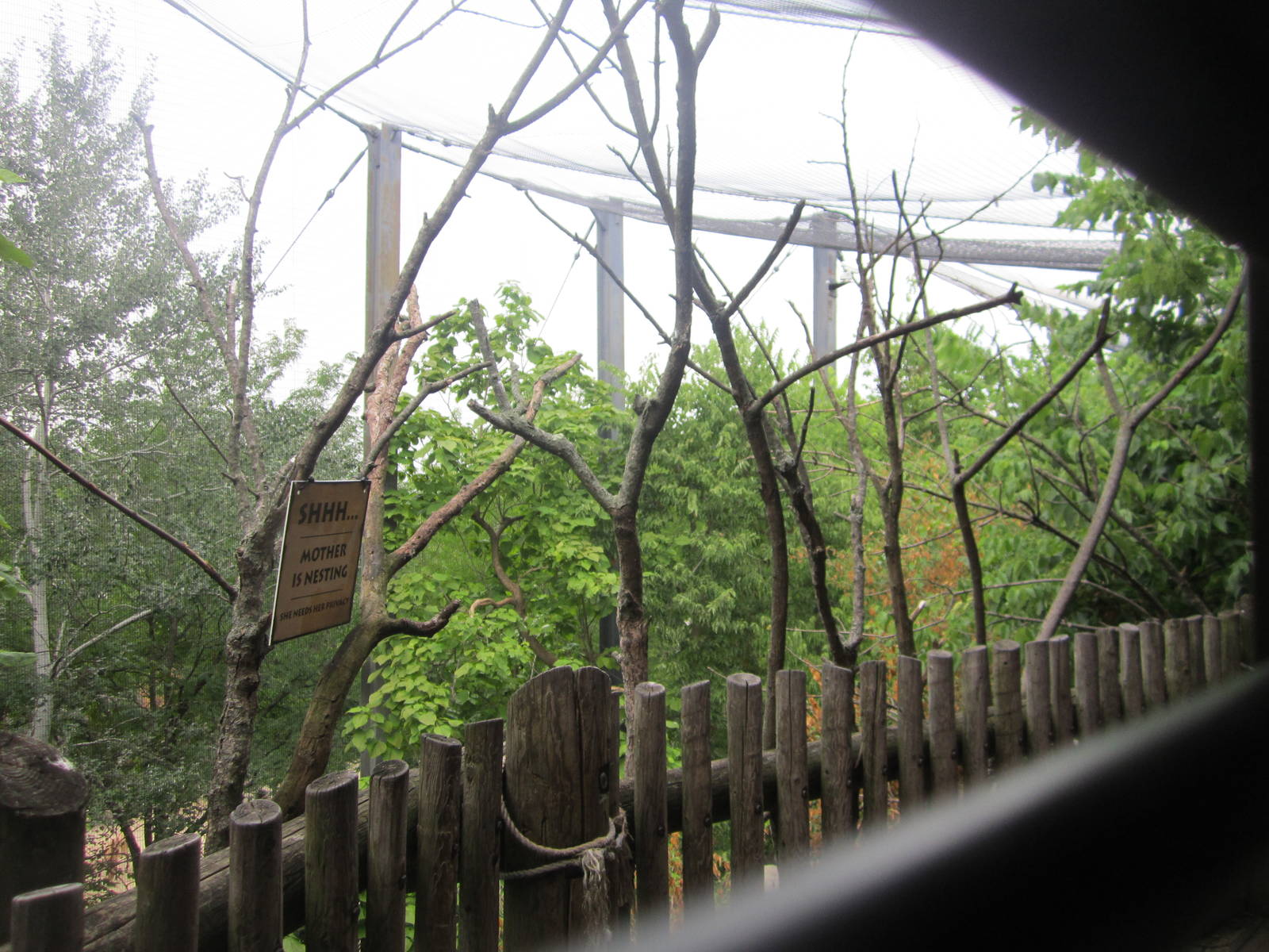 Jul. 2012-Steller's Sea Eagle aviary