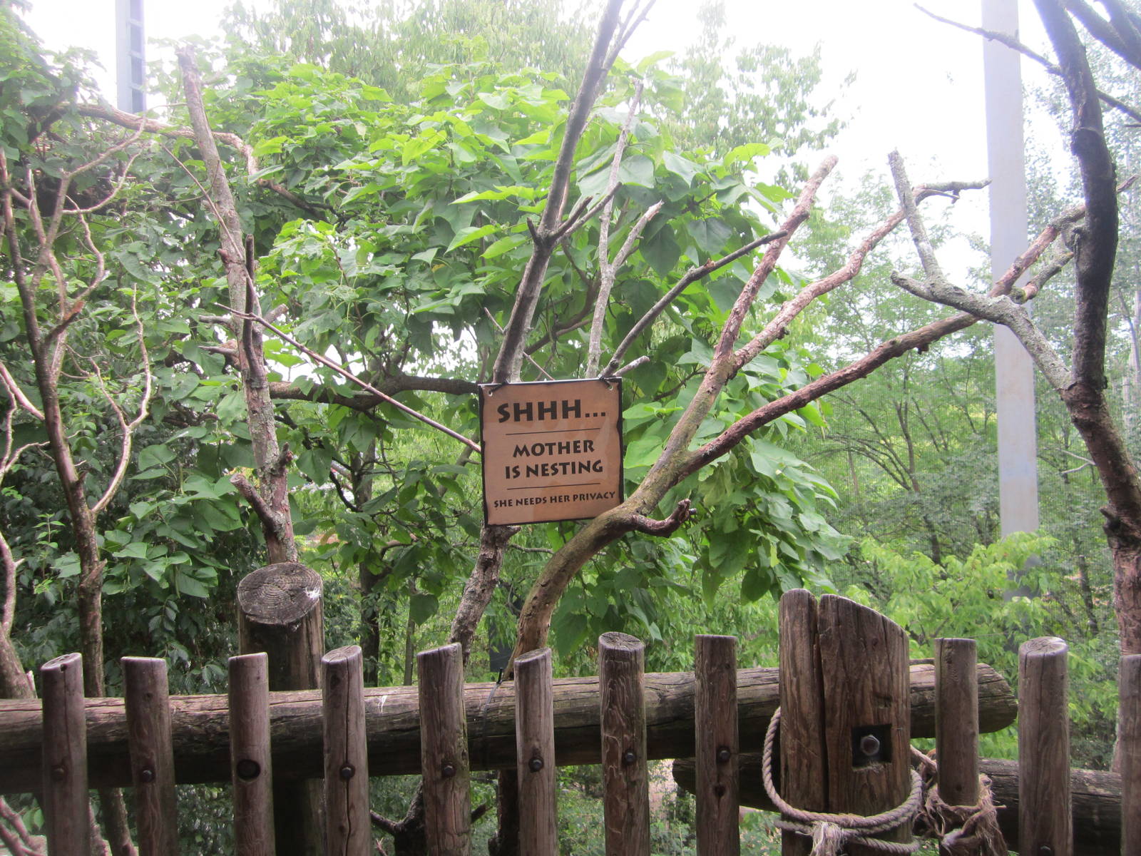 Jul. 2012-Steller's Sea Eagle aviary