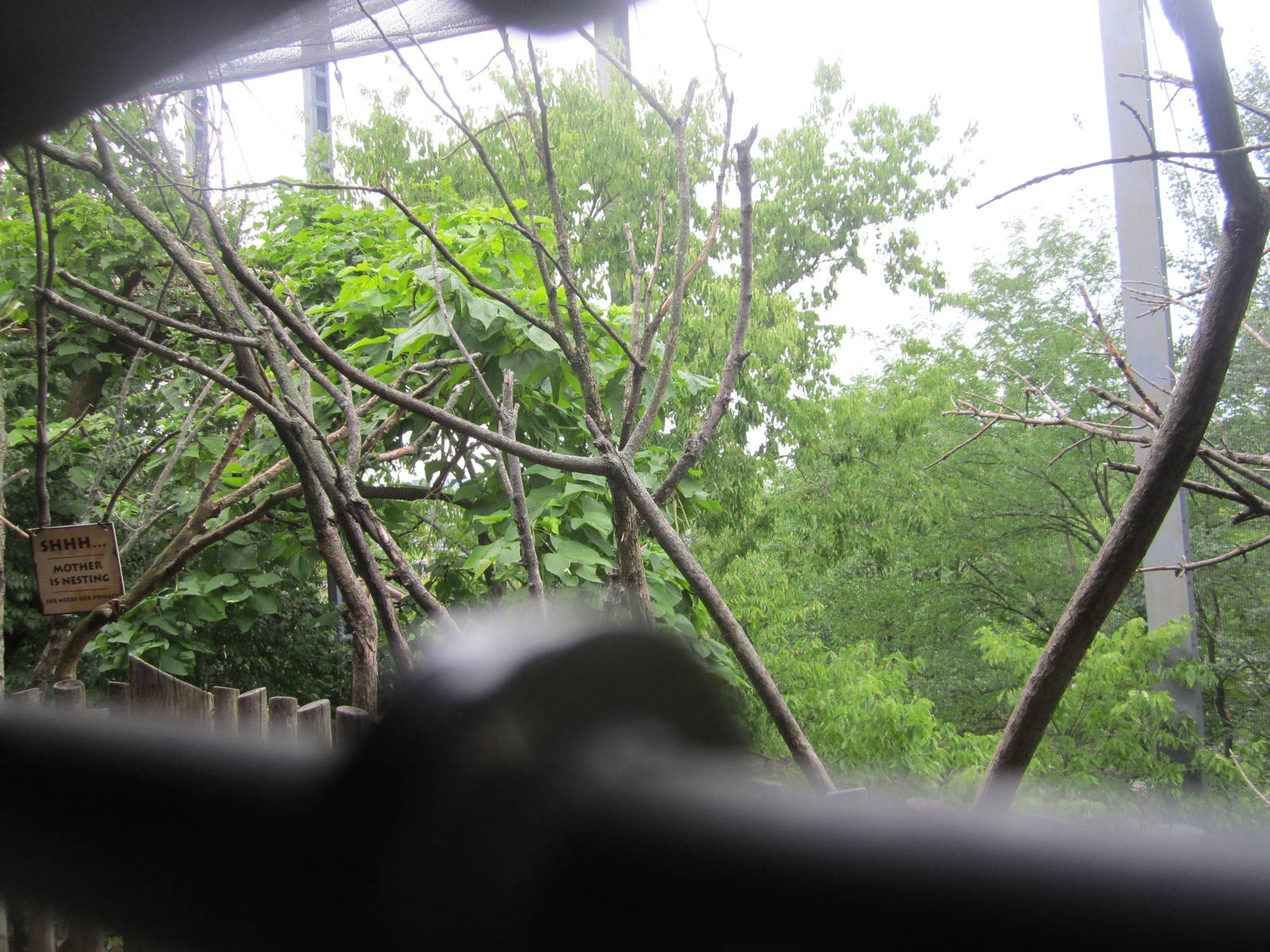 Jul. 2012-Steller's Sea Eagle aviary