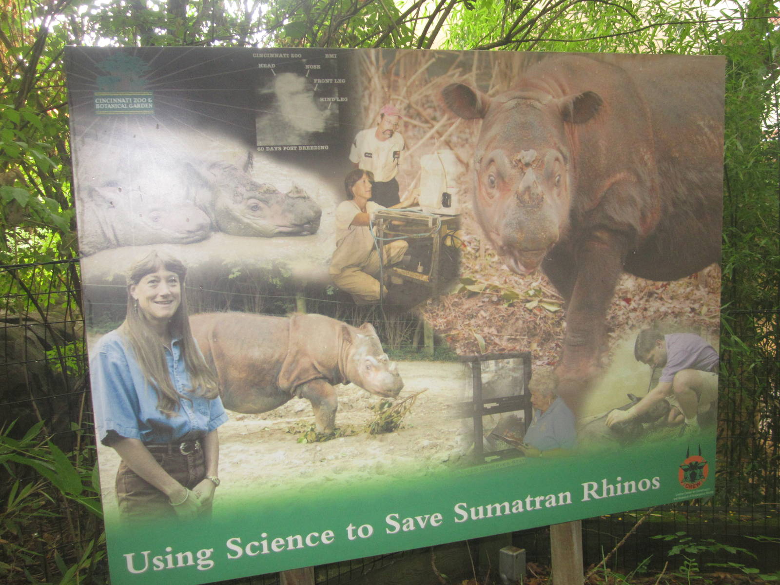 Jul. 2012-Sumatran Rhino Sign
