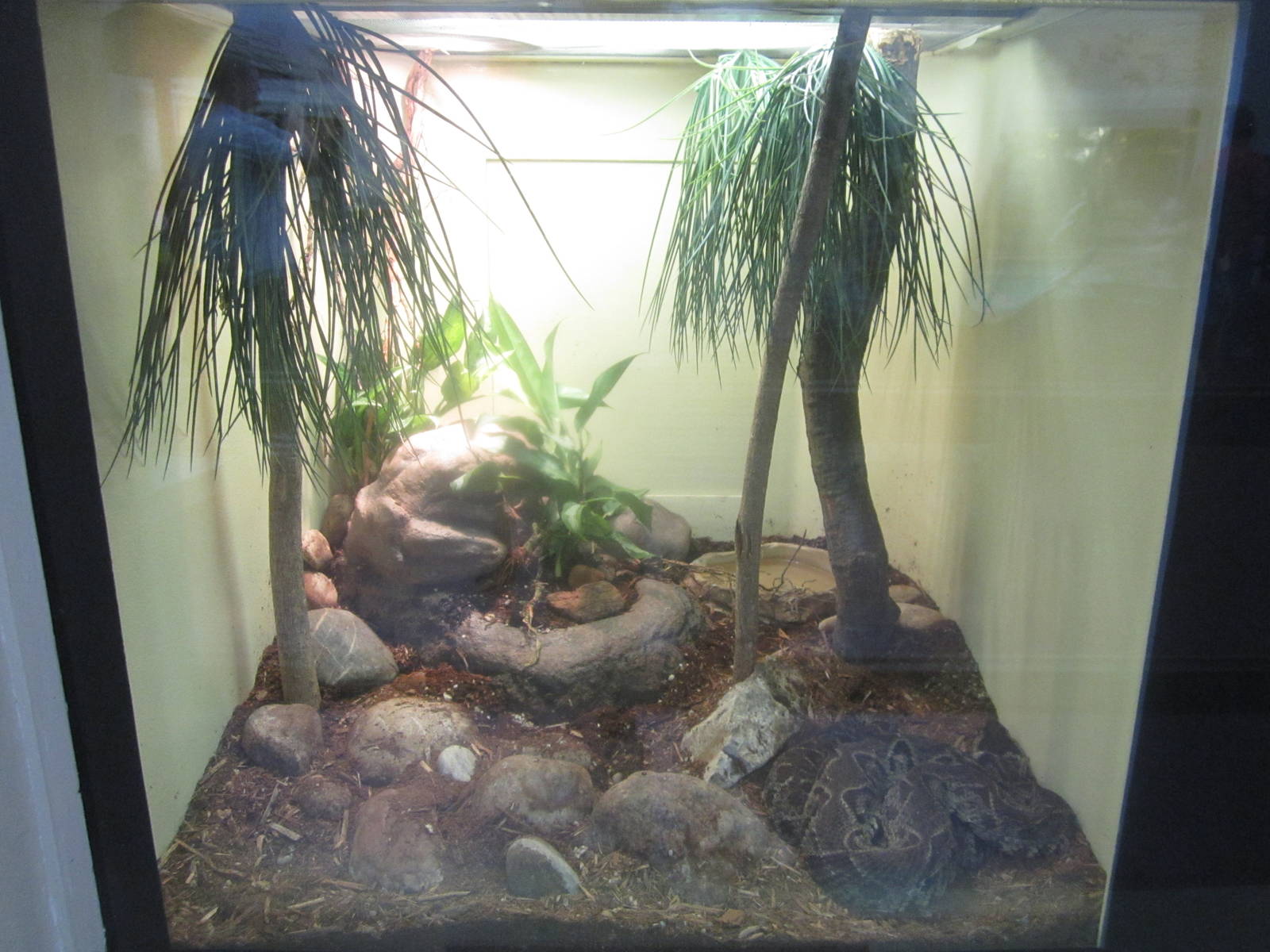 Jul. 2012-Terciopelo exhibit