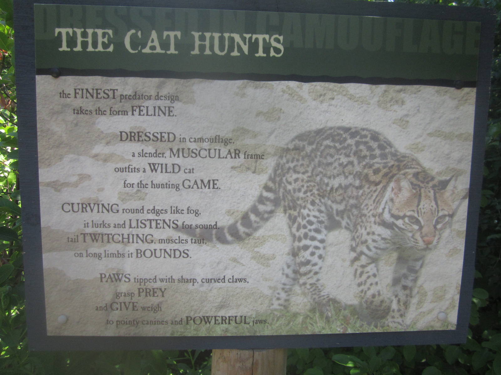 Jul. 2012-The Cat Hunts sign