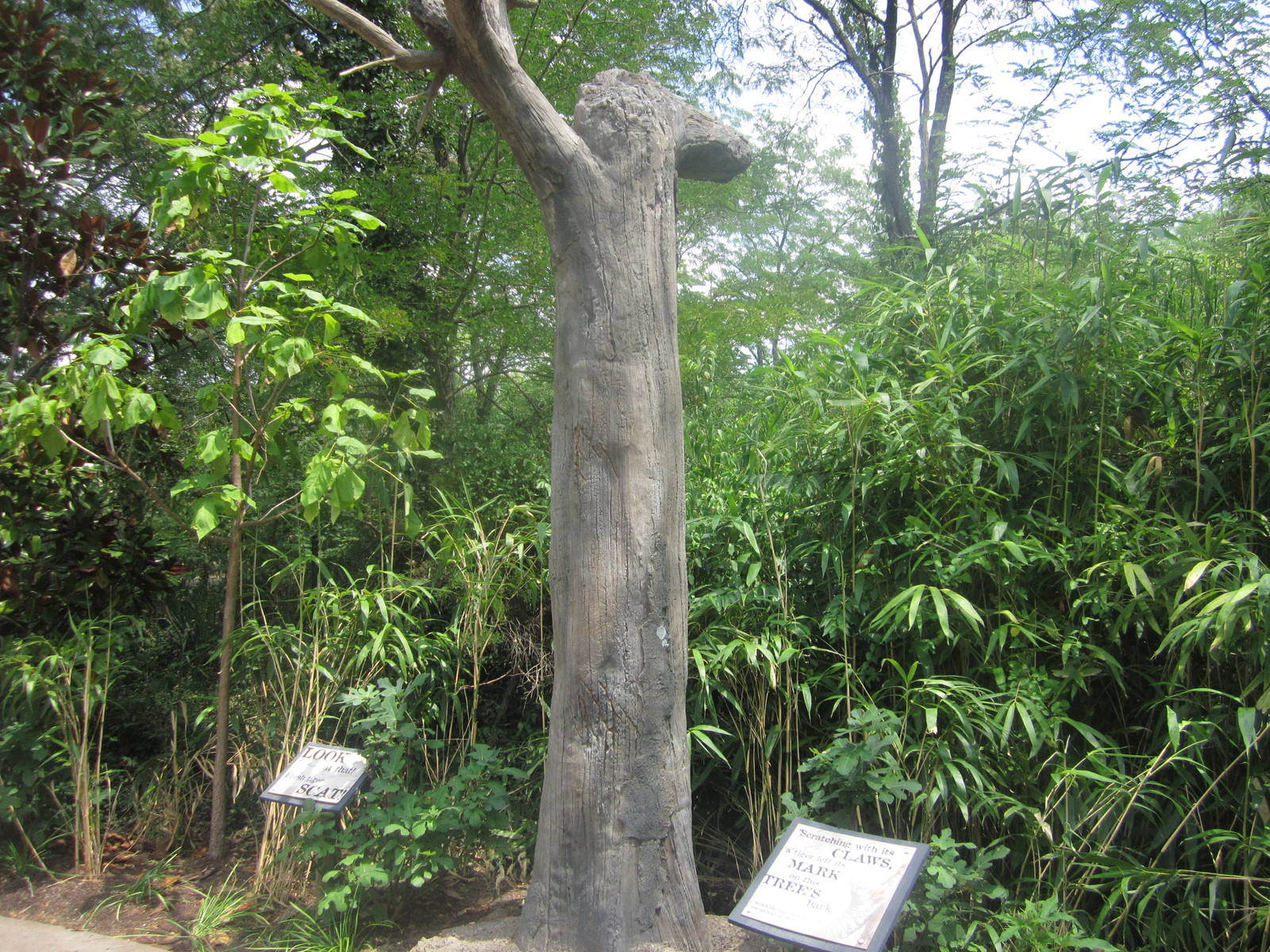 Jul. 2012-Tiger Scratching Post