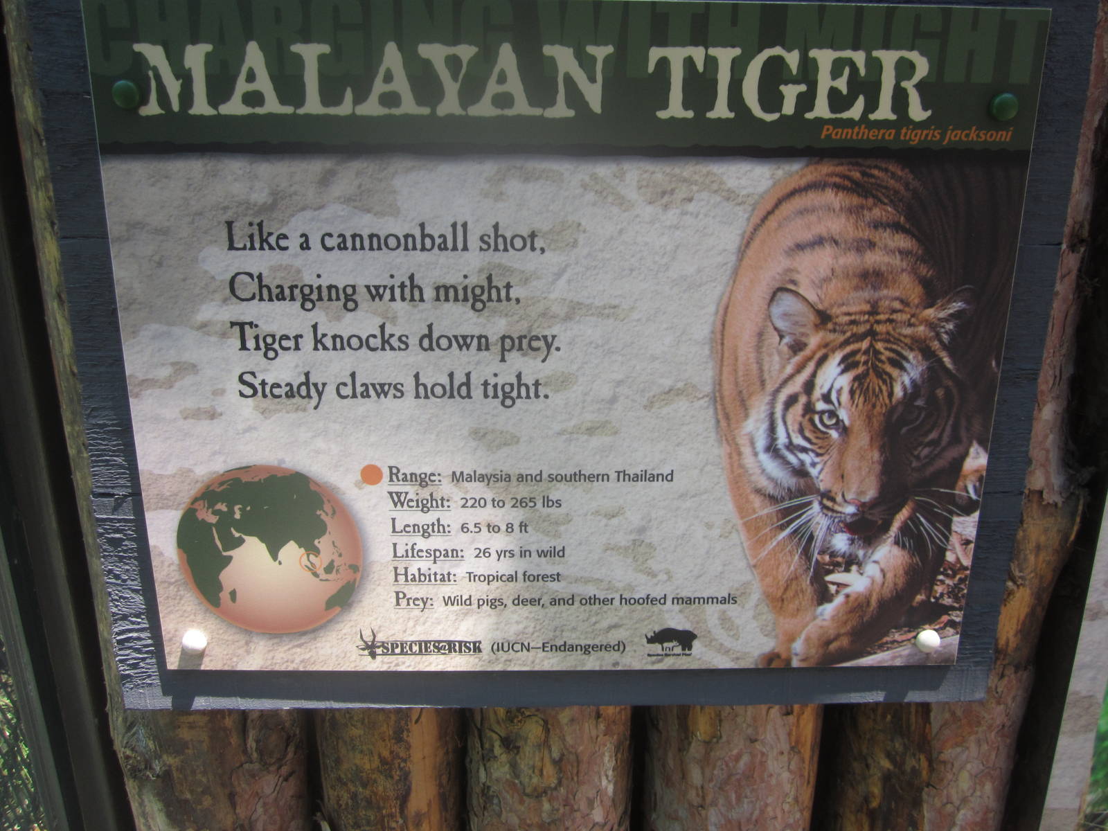 Jul. 2012-Tiger sign