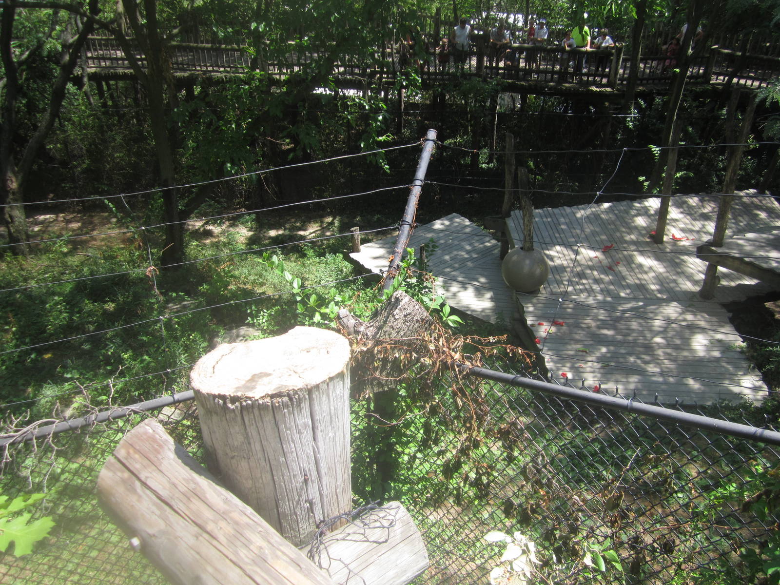Jul. 2012-White Lions of Timbavati from above