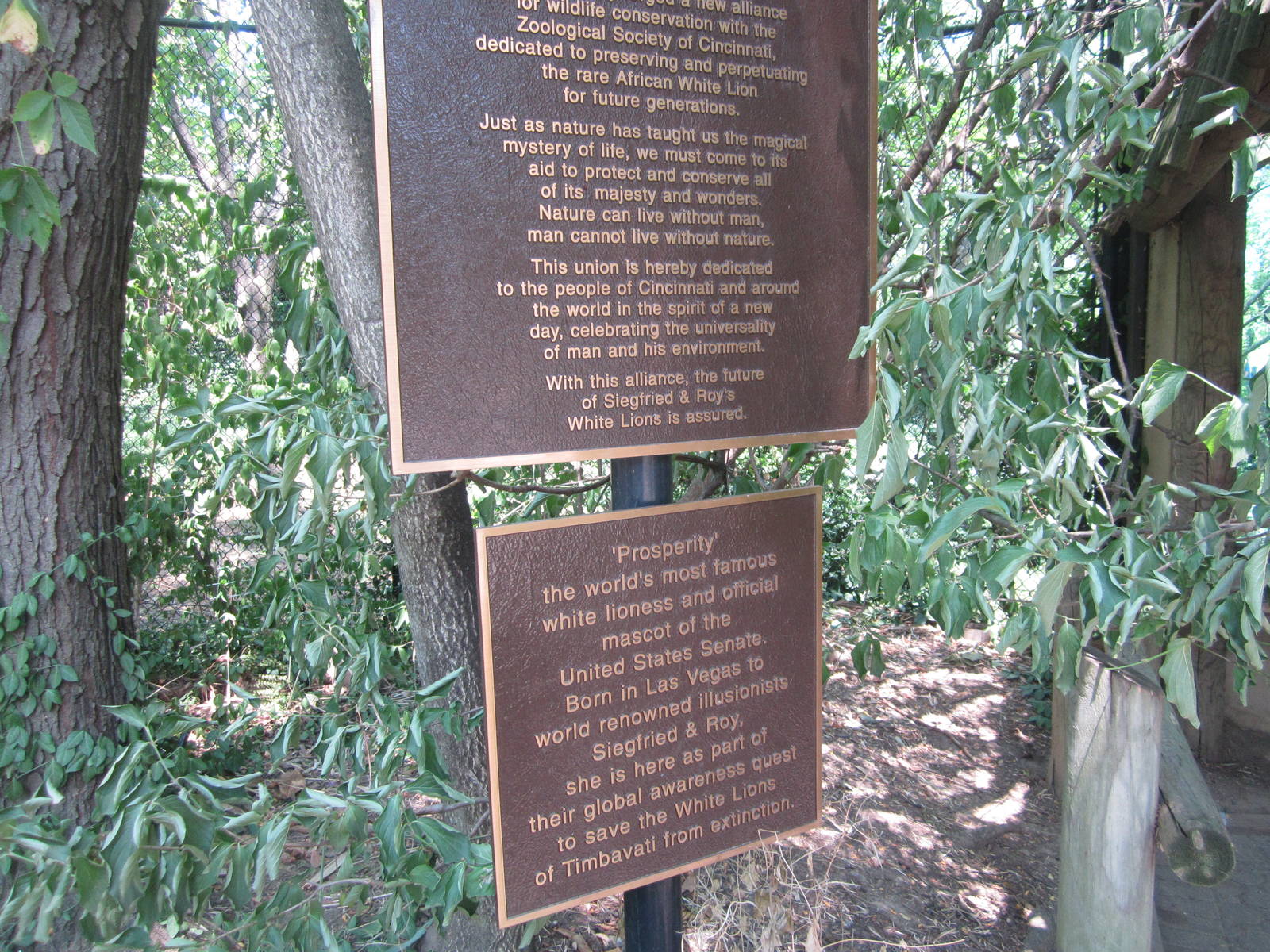 Jul. 2012-White Lions of Timbavati Sign