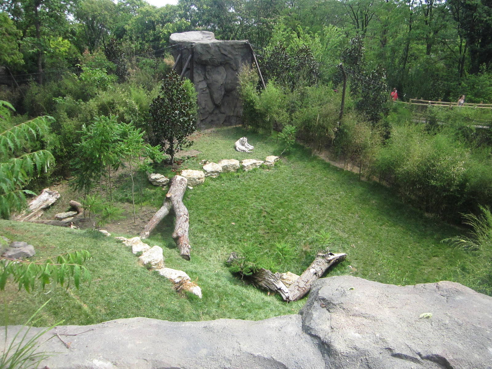 Jul. 2012-White Tiger exhibit
