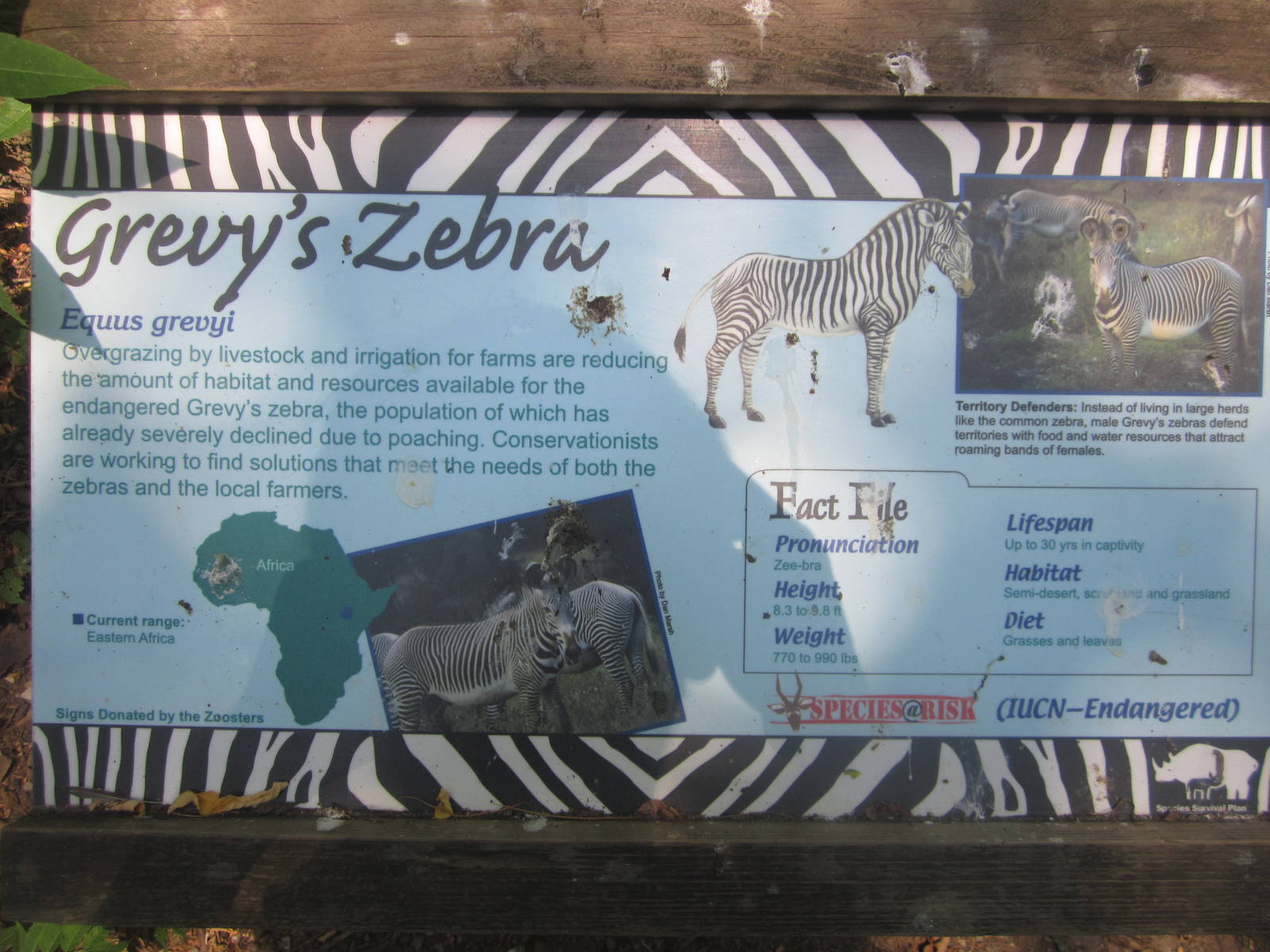 Jul. 2012-Zebra sign