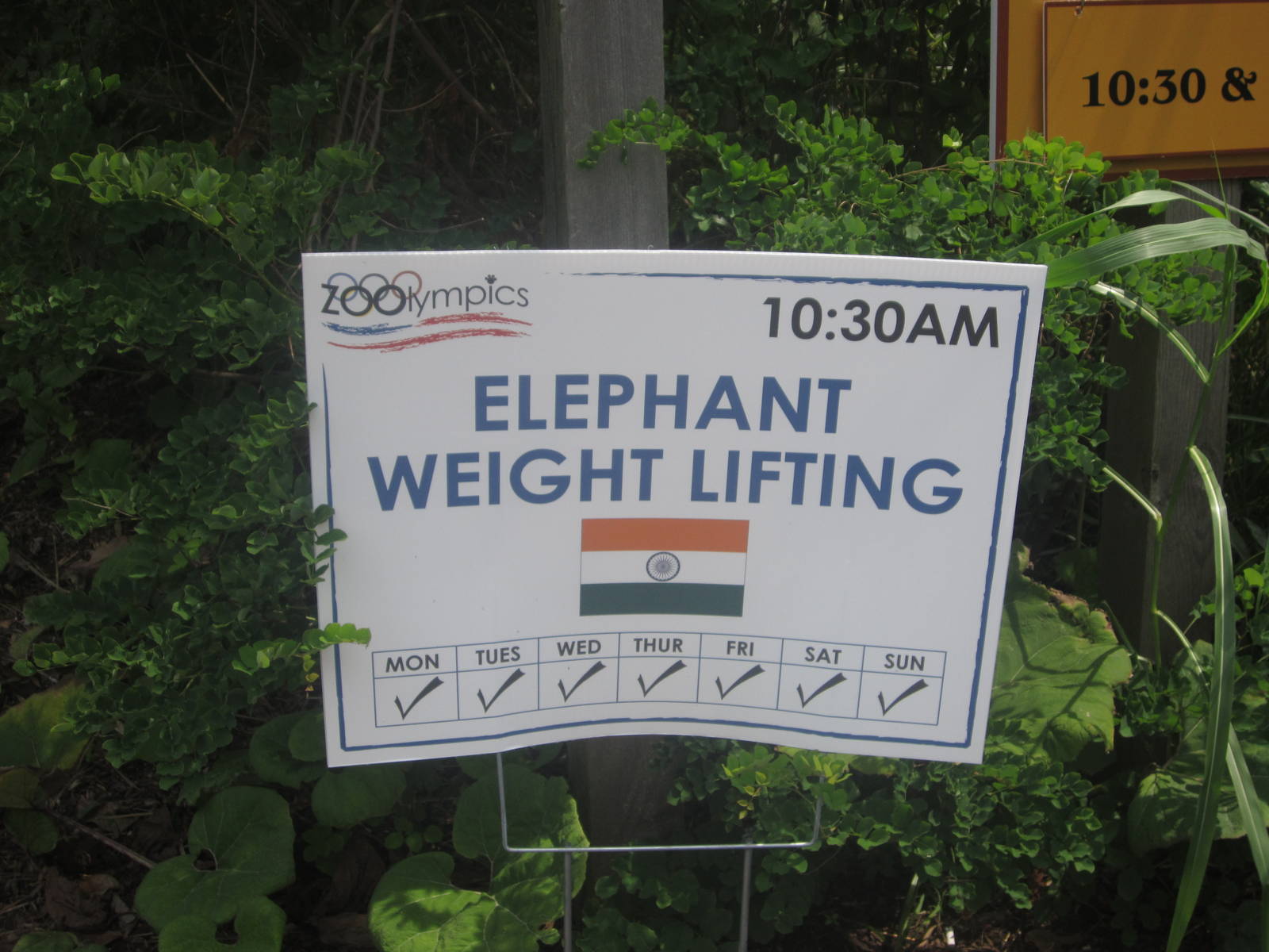 Jul. 2012-Zoolympics Sign