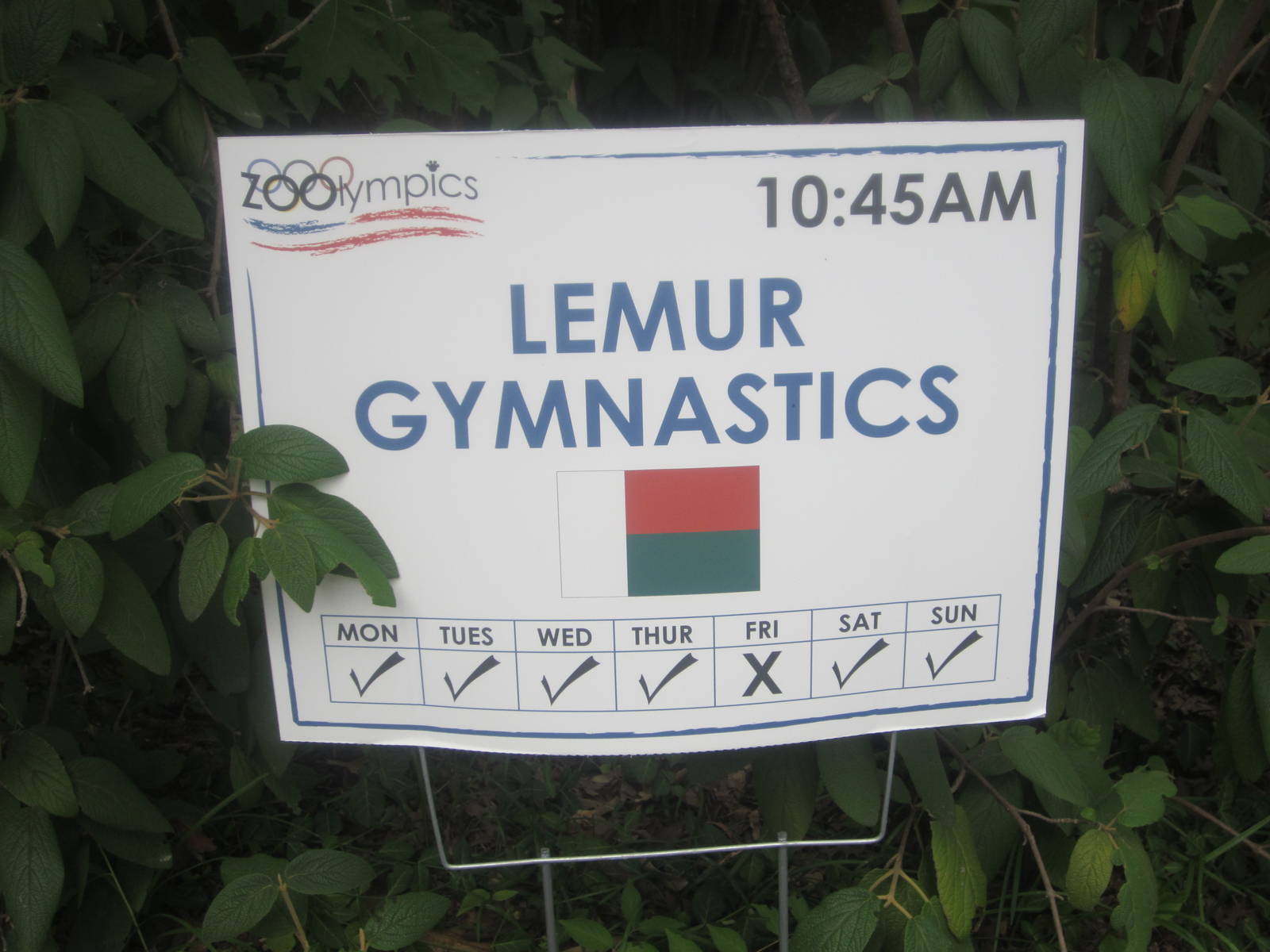 Jul. 2012-Zoolympics Sign