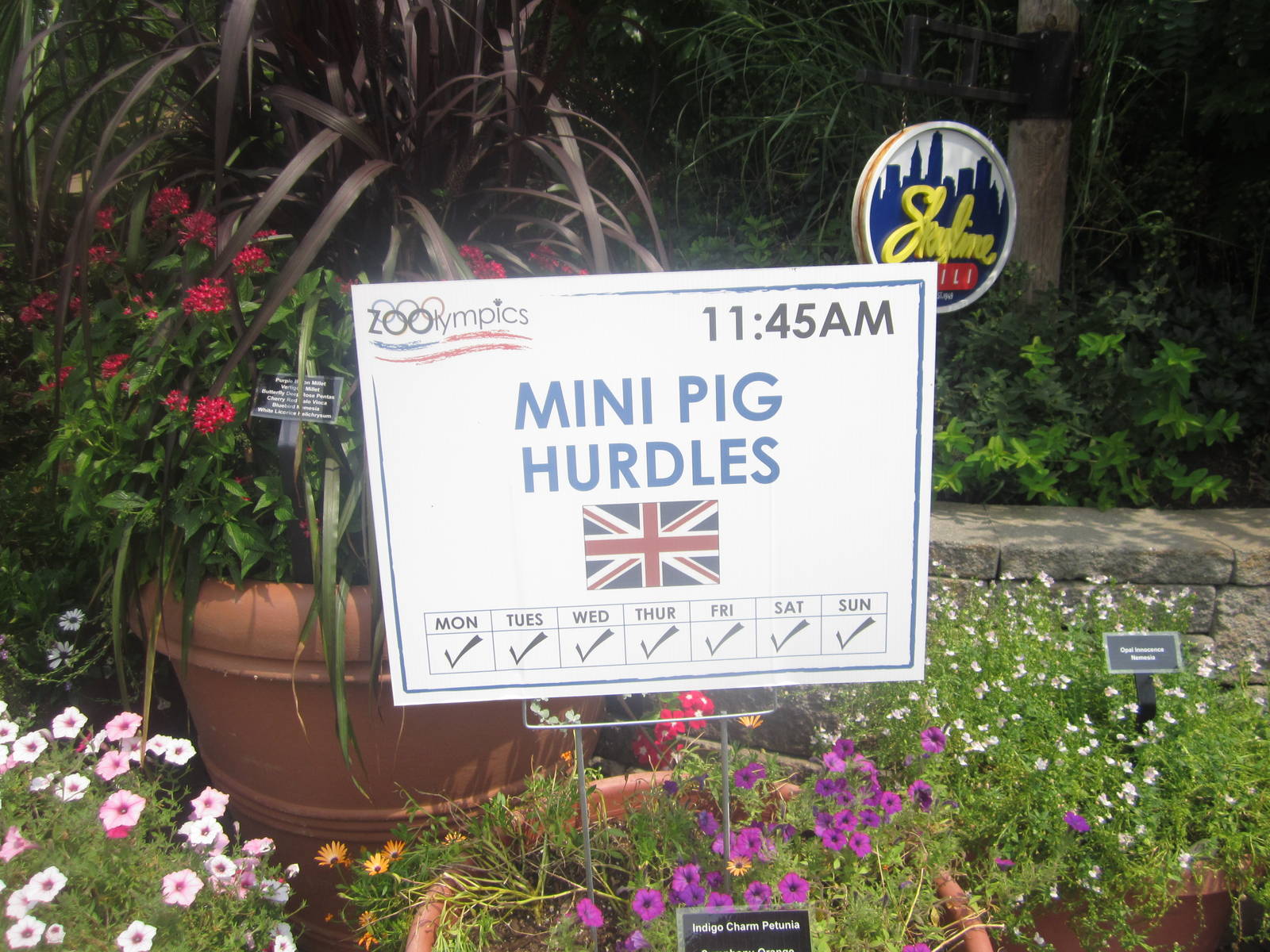 Jul. 2012-Zoolympics Sign