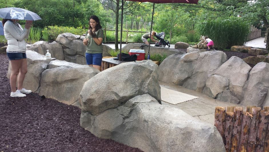 Jul. 2013 - Africa - African Animal Presentation Area