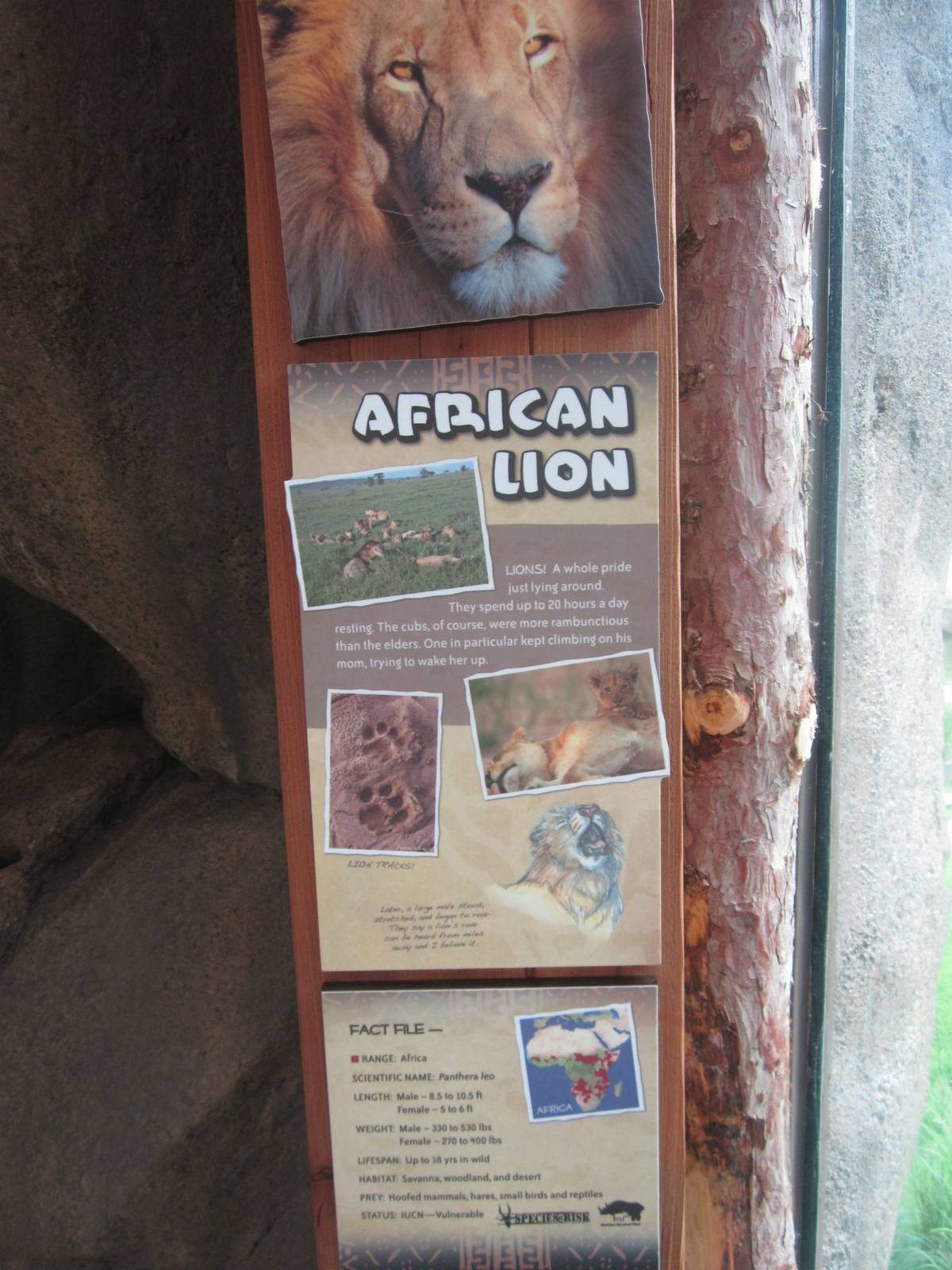Jul. 2013 - Africa - African Lion Sign
