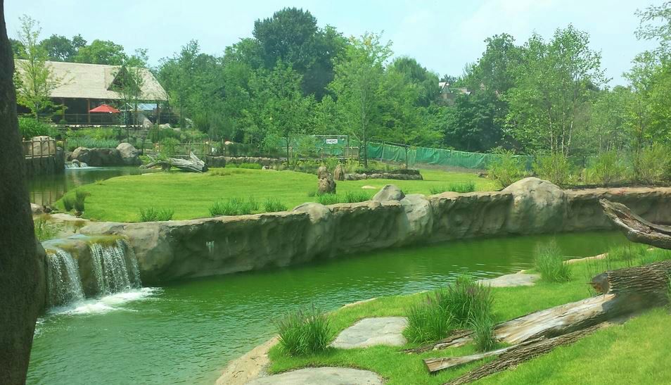 Jul. 2013 - Africa - African Plains + Lion Exhibit Barrier