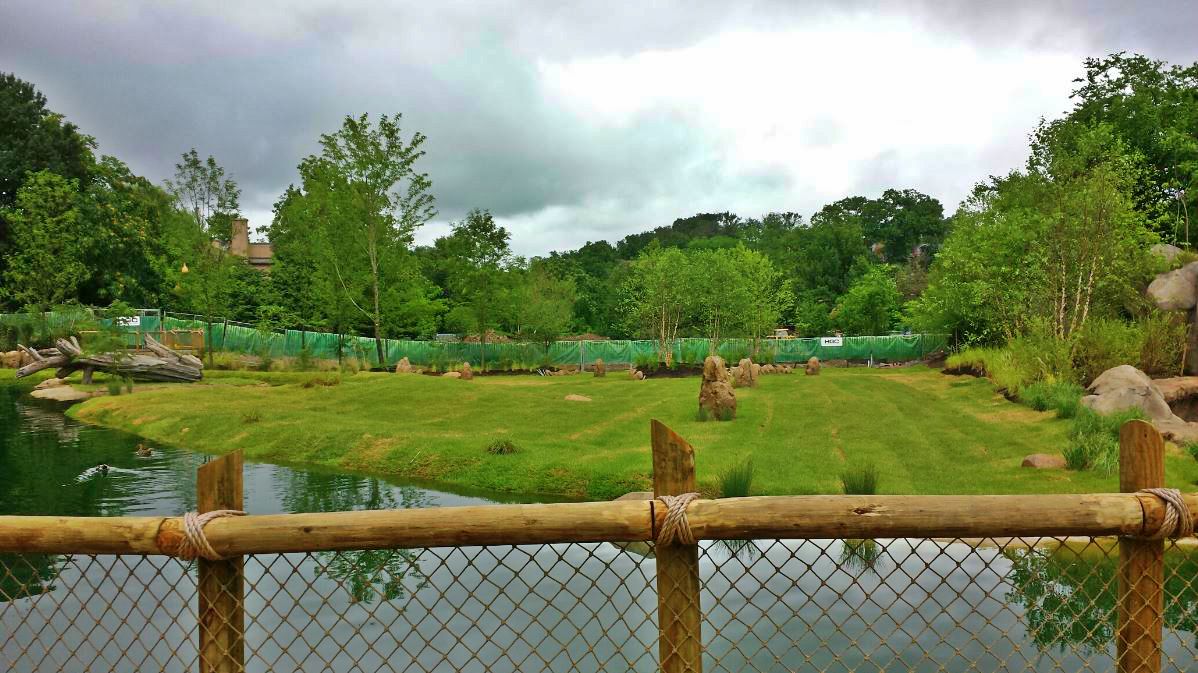 Jul. 2013 - Africa - African Plains