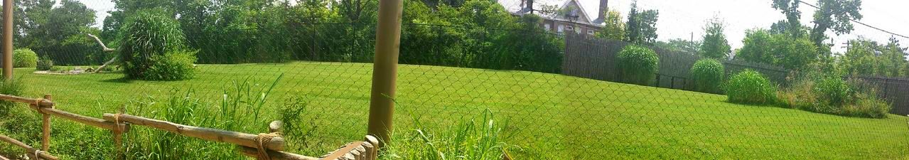 Jul. 2013 - Africa - Cheetah Encounter Panorama