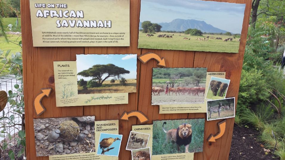 Jul. 2013 - Africa - Life On the African Savannah Sign