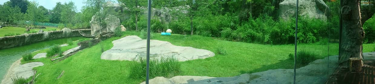 Jul. 2013 - Africa - Southeast African Lion Exhibit Panorama