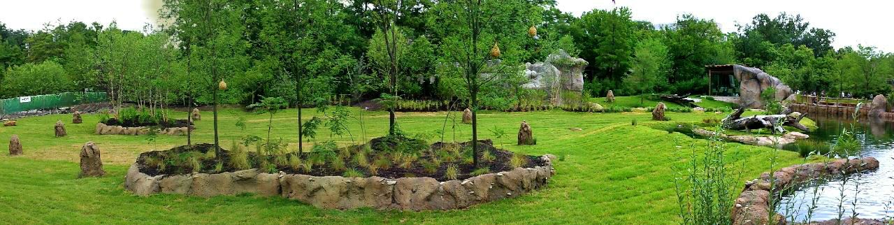 Jul. 2013 - African Plains + African Lion Exhibits