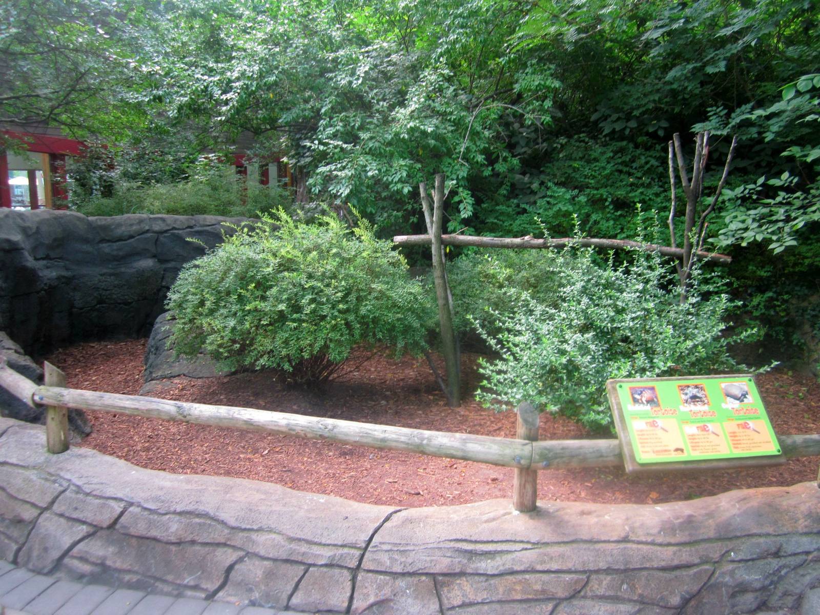 Jul. 2013 - Childrens Zoo - Gopher + Radiated + Red-footed Tortoise Exhibit